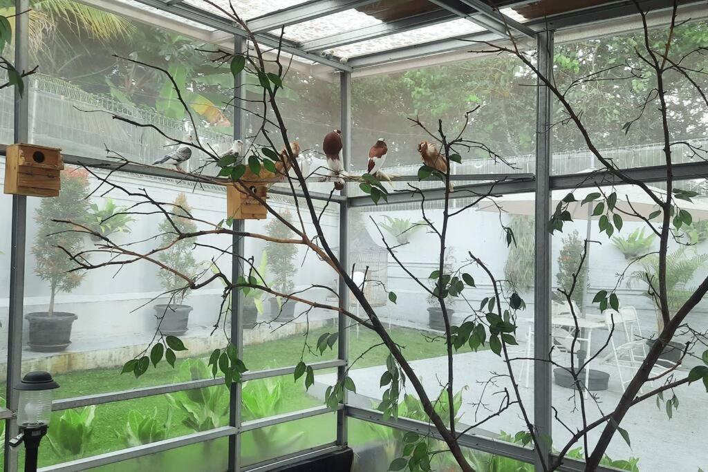 Garden Villa By Villapedia Богор Экстерьер фото